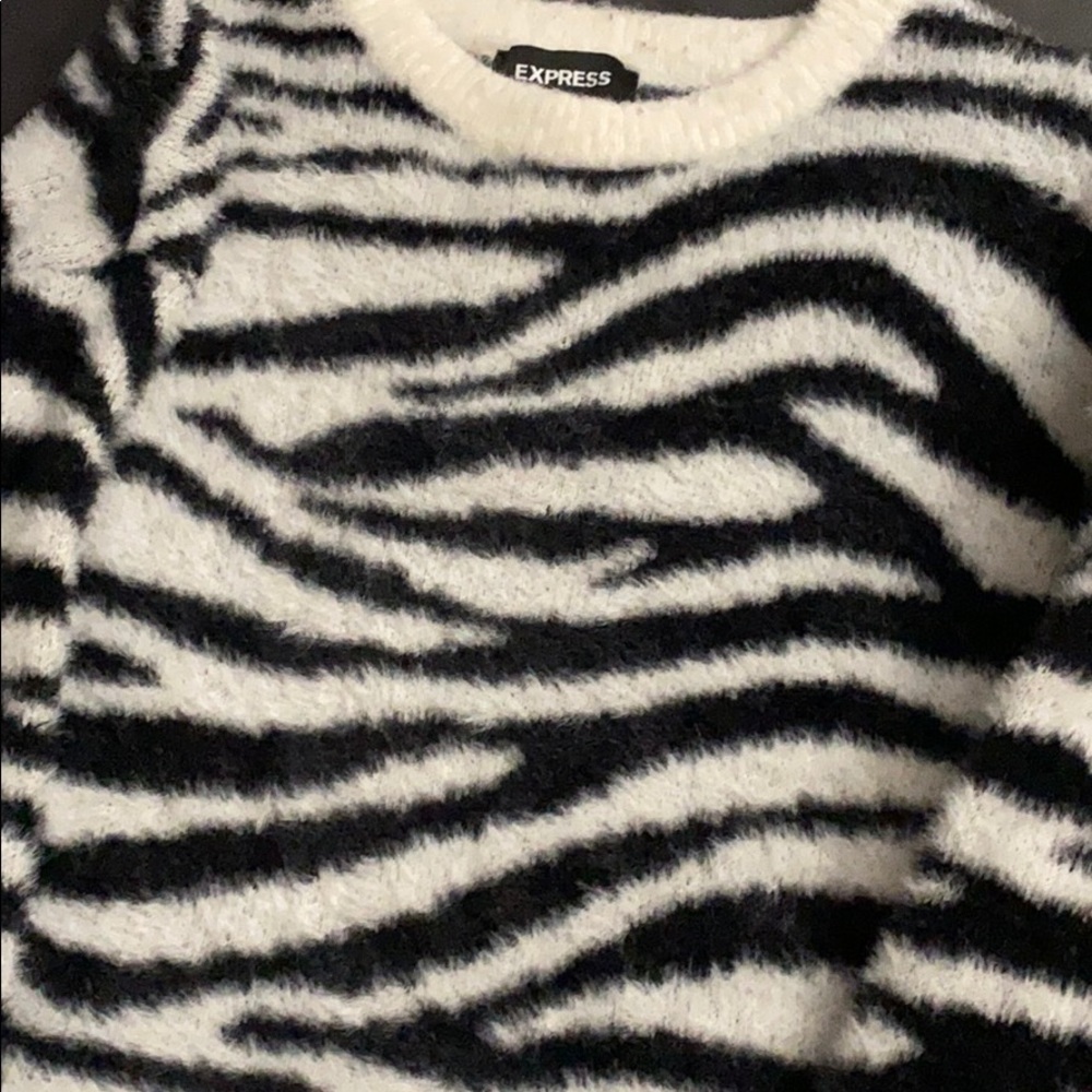 Express - Picture 3 of 3